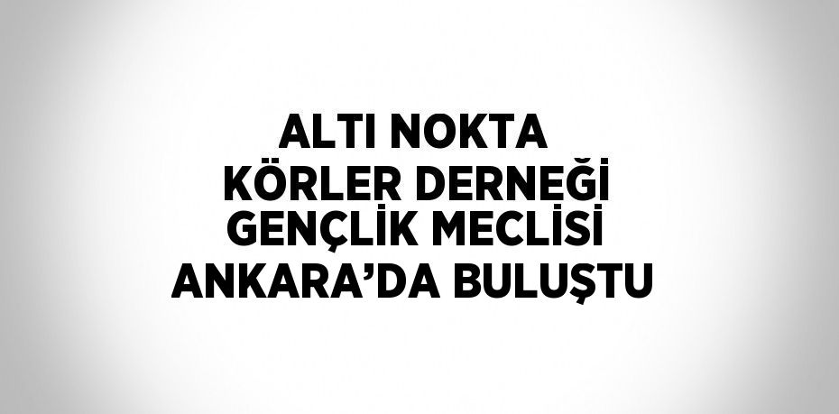 ALTI NOKTA KÖRLER DERNEĞİ GENÇLİK MECLİSİ ANKARA’DA BULUŞTU