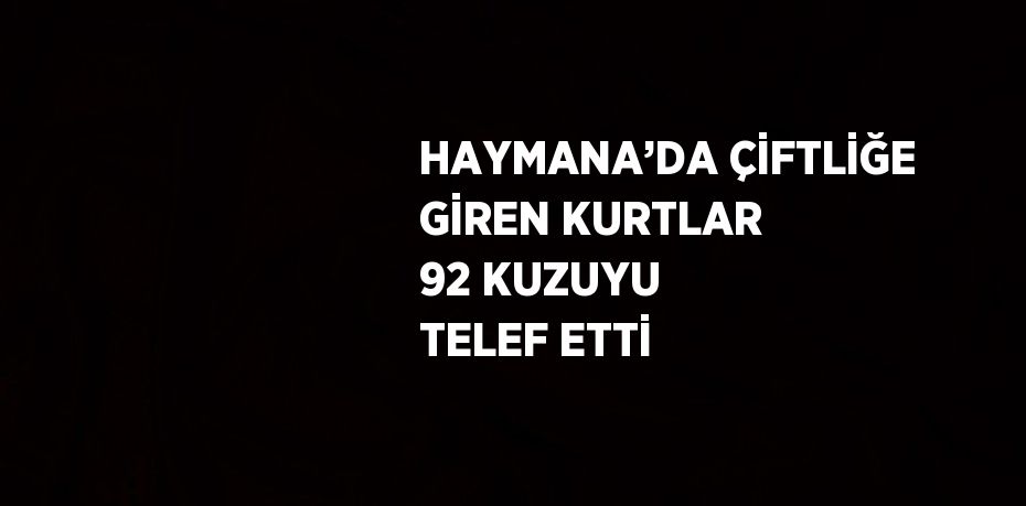 HAYMANA’DA ÇİFTLİĞE GİREN KURTLAR 92 KUZUYU TELEF ETTİ