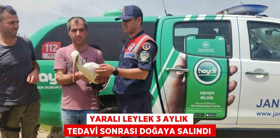 YARALI LEYLEK 3 AYLIK TEDAVİ SONRASI DOĞAYA SALINDI