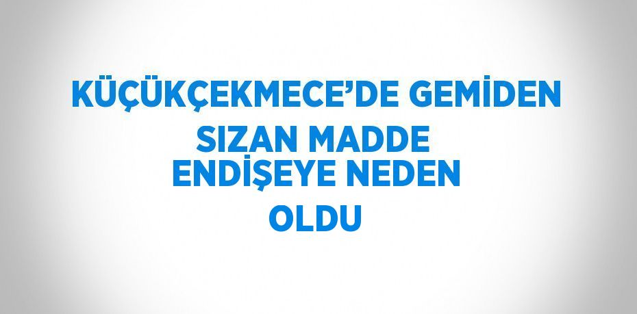 KÜÇÜKÇEKMECE’DE GEMİDEN SIZAN MADDE ENDİŞEYE NEDEN OLDU