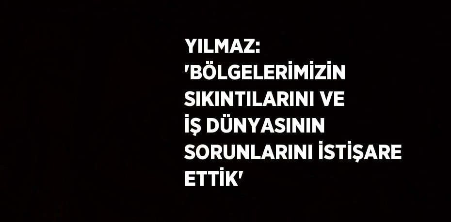 YILMAZ: 'BÖLGELERİMİZİN SIKINTILARINI VE İŞ DÜNYASININ SORUNLARINI İSTİŞARE ETTİK'