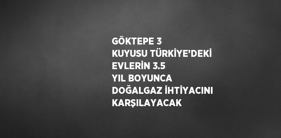 GÖKTEPE 3 KUYUSU TÜRKİYE’DEKİ EVLERİN 3.5 YIL BOYUNCA DOĞALGAZ İHTİYACINI KARŞILAYACAK