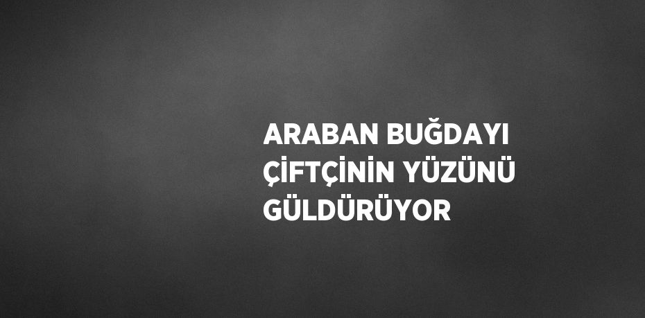 ARABAN BUĞDAYI ÇİFTÇİNİN YÜZÜNÜ GÜLDÜRÜYOR