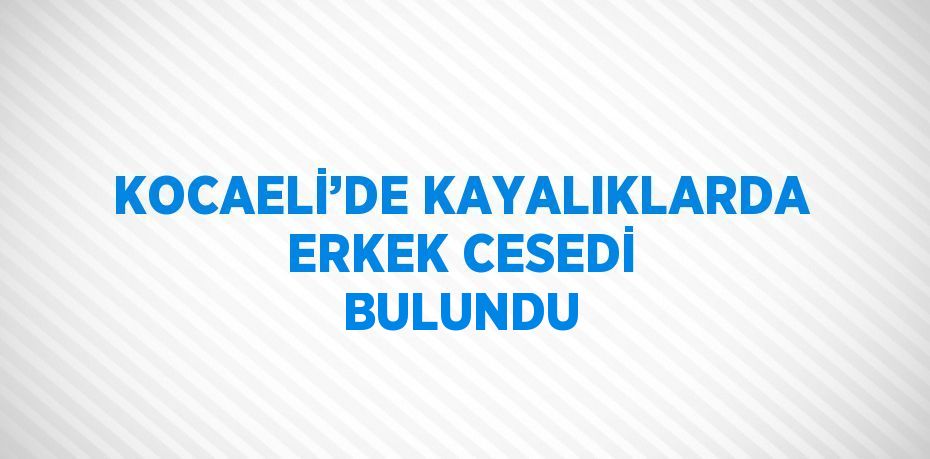 KOCAELİ’DE KAYALIKLARDA ERKEK CESEDİ BULUNDU