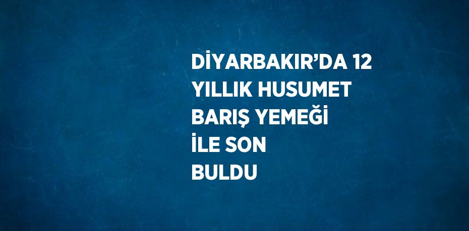 DİYARBAKIR’DA 12 YILLIK HUSUMET BARIŞ YEMEĞİ İLE SON BULDU