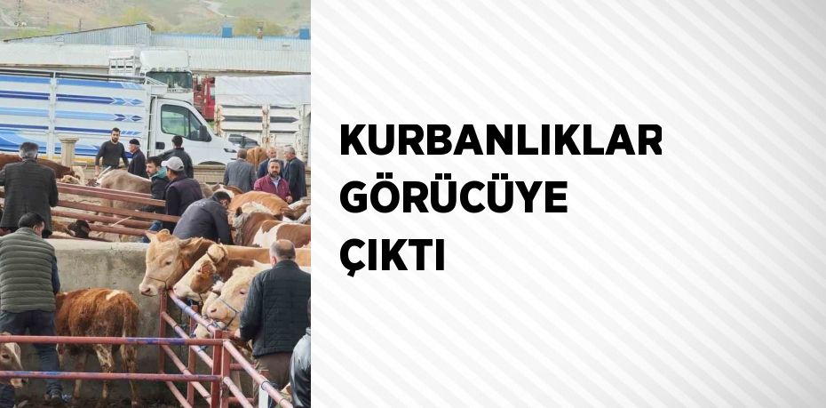 KURBANLIKLAR GÖRÜCÜYE ÇIKTI