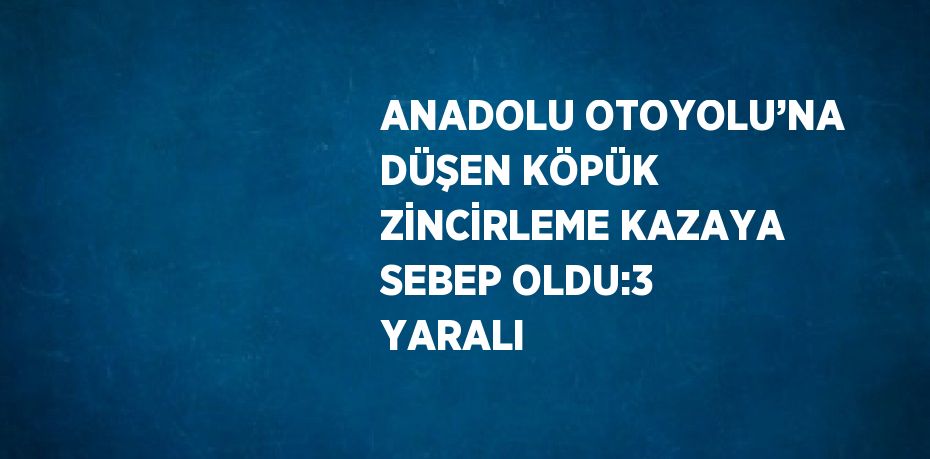 ANADOLU OTOYOLU’NA DÜŞEN KÖPÜK ZİNCİRLEME KAZAYA SEBEP OLDU:3 YARALI