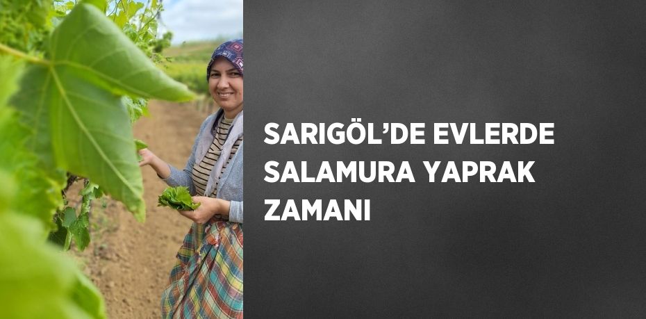 SARIGÖL’DE EVLERDE SALAMURA YAPRAK ZAMANI