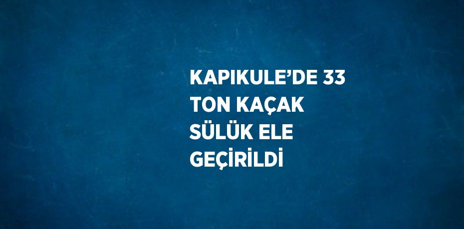 KAPIKULE’DE 33 TON KAÇAK SÜLÜK ELE GEÇİRİLDİ