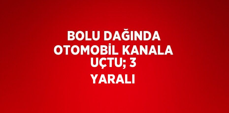 BOLU DAĞINDA OTOMOBİL KANALA UÇTU; 3 YARALI