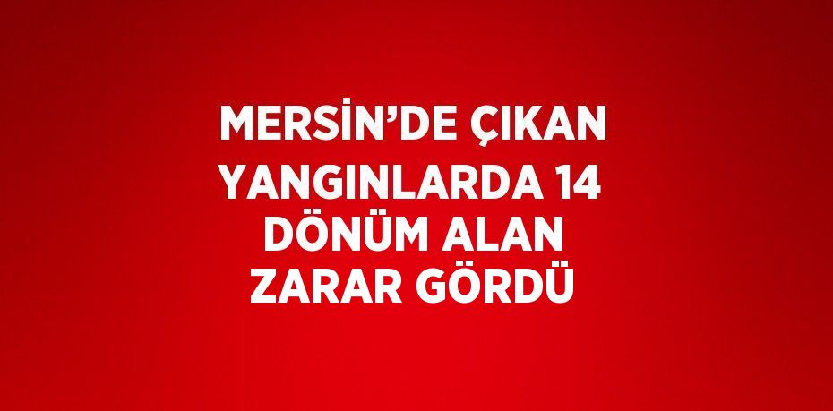 MERSİN’DE ÇIKAN YANGINLARDA 14 DÖNÜM ALAN ZARAR GÖRDÜ