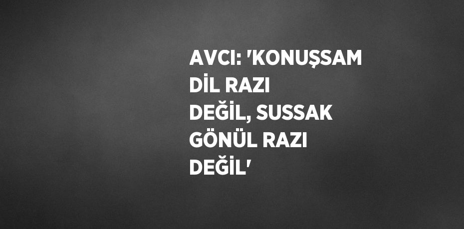 AVCI: 'KONUŞSAM DİL RAZI DEĞİL, SUSSAK GÖNÜL RAZI DEĞİL'