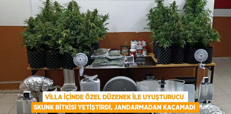 VİLLA İÇİNDE ÖZEL DÜZENEK İLE UYUŞTURUCU SKUNK BİTKİSİ YETİŞTİRDİ, JANDARMADAN KAÇAMADI