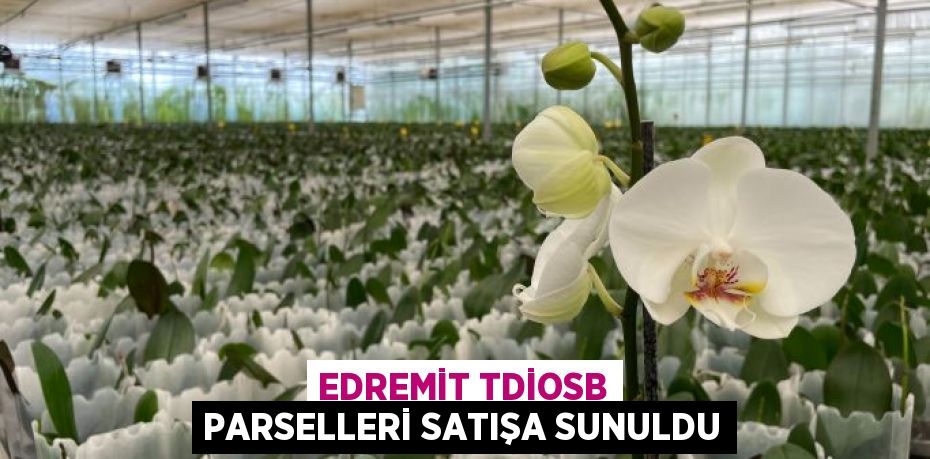 EDREMİT TDİOSB PARSELLERİ SATIŞA SUNULDU