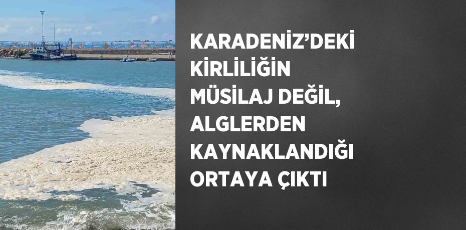 KARADENİZ’DEKİ KİRLİLİĞİN MÜSİLAJ DEĞİL, ALGLERDEN KAYNAKLANDIĞI ORTAYA ÇIKTI