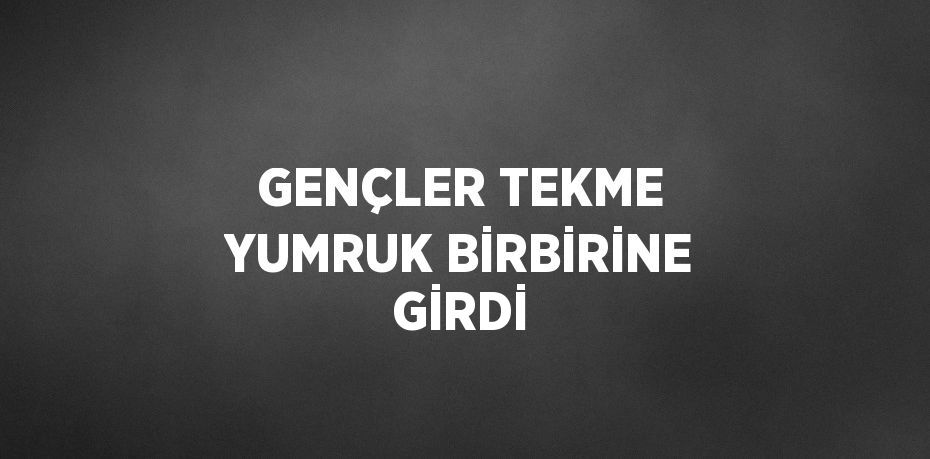 GENÇLER TEKME YUMRUK BİRBİRİNE GİRDİ