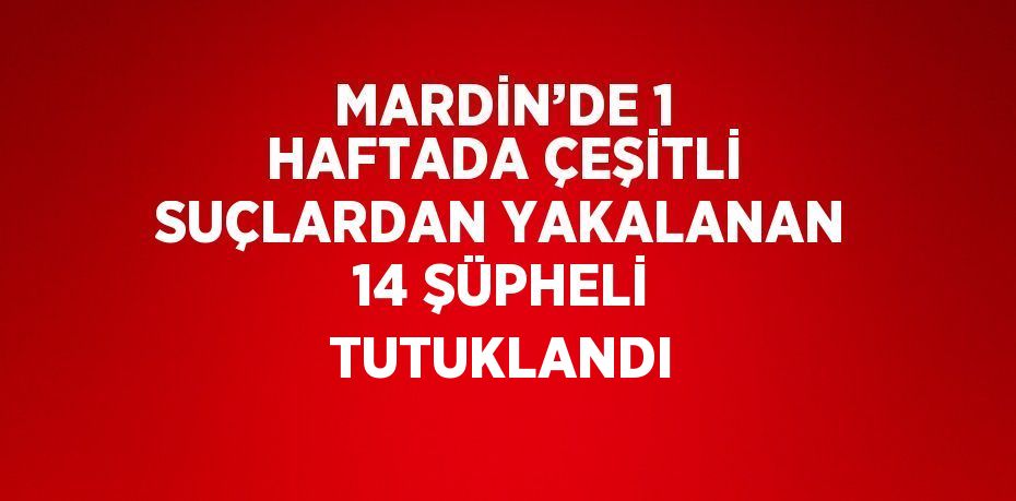 MARDİN’DE 1 HAFTADA ÇEŞİTLİ SUÇLARDAN YAKALANAN 14 ŞÜPHELİ TUTUKLANDI