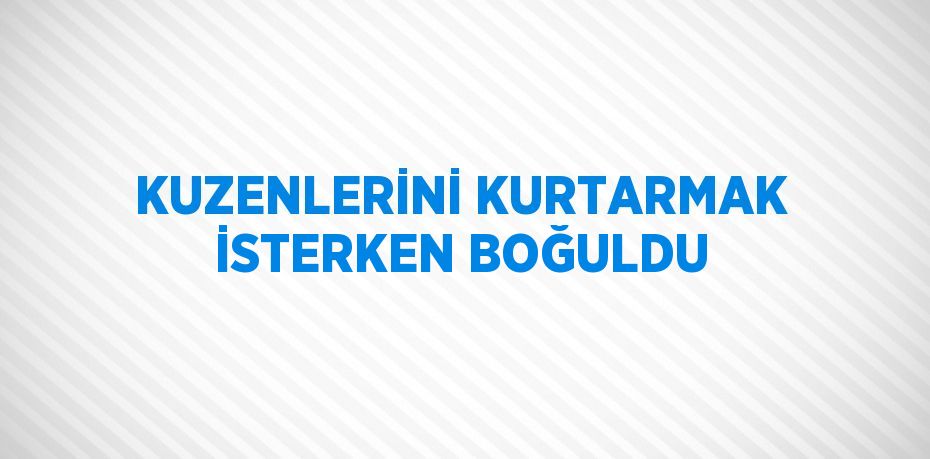 KUZENLERİNİ KURTARMAK İSTERKEN BOĞULDU