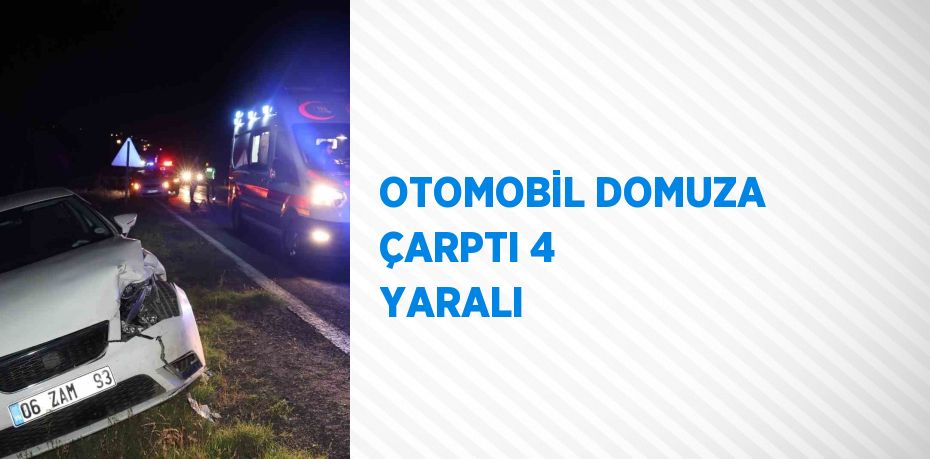 OTOMOBİL DOMUZA ÇARPTI 4 YARALI