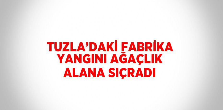 TUZLA’DAKİ FABRİKA YANGINI AĞAÇLIK ALANA SIÇRADI