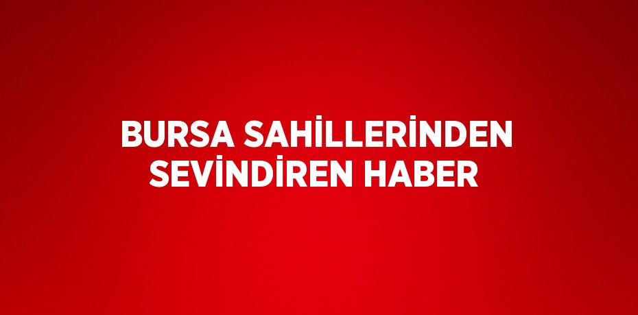 BURSA SAHİLLERİNDEN SEVİNDİREN HABER