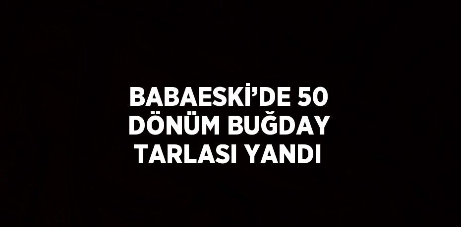 BABAESKİ’DE 50 DÖNÜM BUĞDAY TARLASI YANDI