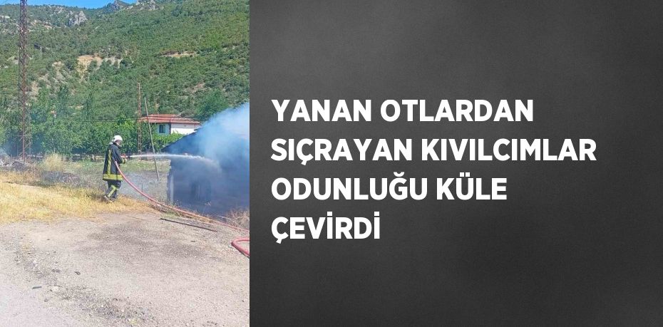 YANAN OTLARDAN SIÇRAYAN KIVILCIMLAR ODUNLUĞU KÜLE ÇEVİRDİ