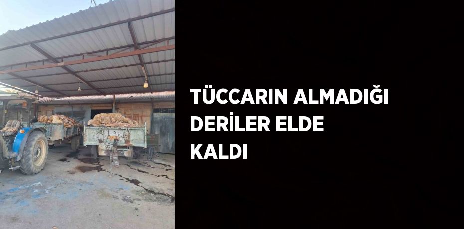 TÜCCARIN ALMADIĞI DERİLER ELDE KALDI