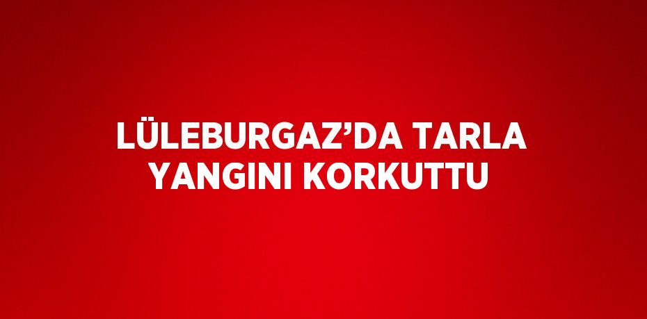 LÜLEBURGAZ’DA TARLA YANGINI KORKUTTU