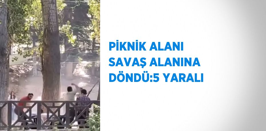 PİKNİK ALANI SAVAŞ ALANINA DÖNDÜ:5 YARALI