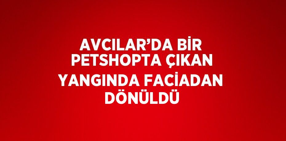 AVCILAR’DA BİR PETSHOPTA ÇIKAN YANGINDA FACİADAN DÖNÜLDÜ