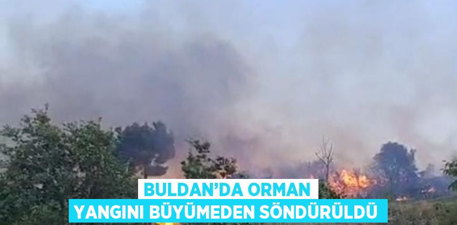 BULDAN’DA ORMAN YANGINI BÜYÜMEDEN SÖNDÜRÜLDÜ