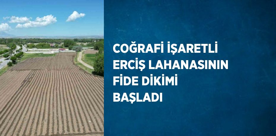 COĞRAFİ İŞARETLİ ERCİŞ LAHANASININ FİDE DİKİMİ BAŞLADI