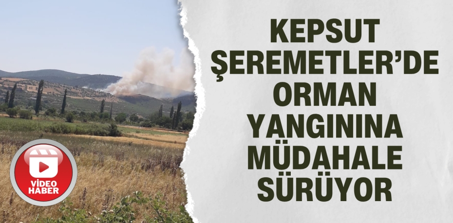 KEPSUT ŞEREMETLER’DE ORMAN YANGININA MÜDAHALE SÜRÜYOR