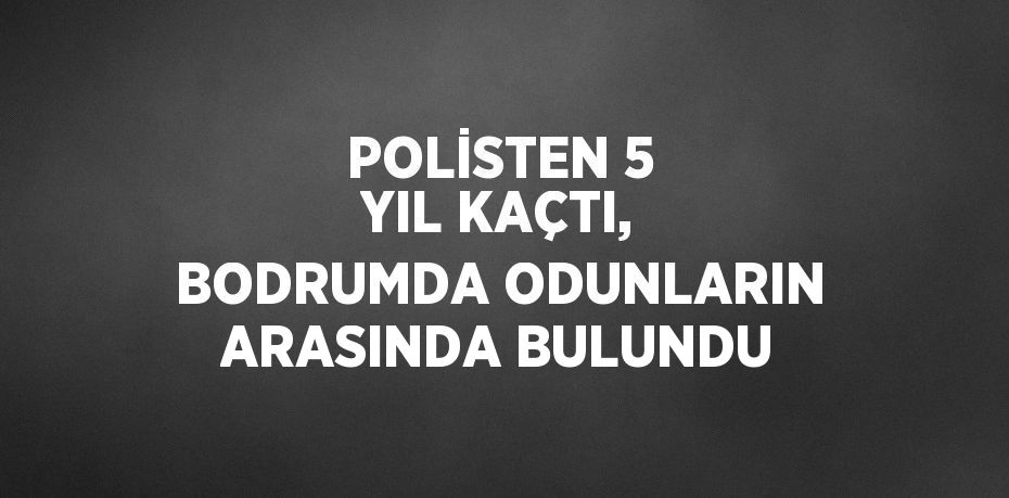 POLİSTEN 5 YIL KAÇTI, BODRUMDA ODUNLARIN ARASINDA BULUNDU