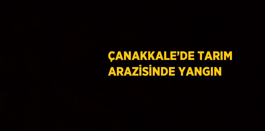 ÇANAKKALE’DE TARIM ARAZİSİNDE YANGIN