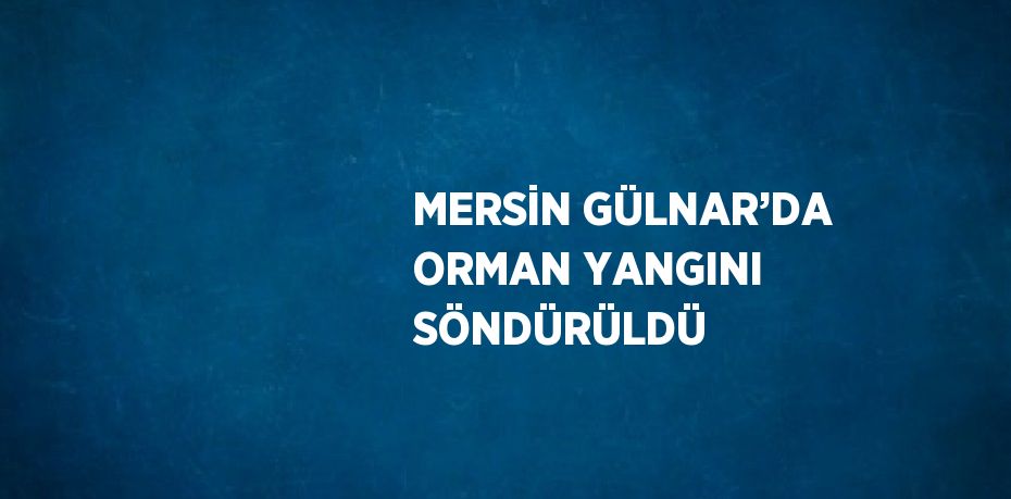 MERSİN GÜLNAR’DA ORMAN YANGINI SÖNDÜRÜLDÜ