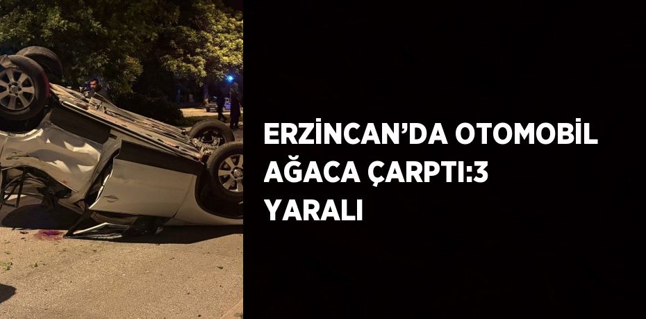 ERZİNCAN’DA OTOMOBİL AĞACA ÇARPTI:3 YARALI
