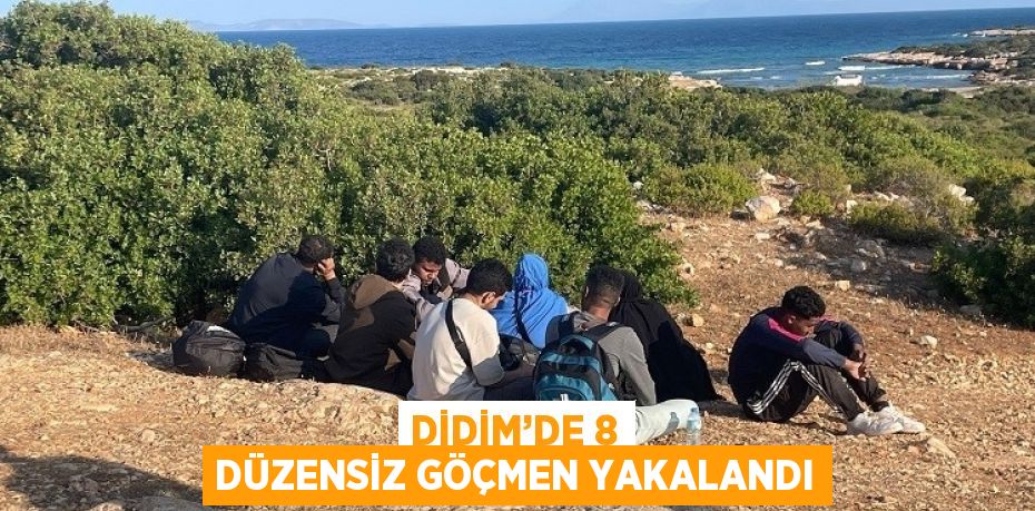 DİDİM’DE 8 DÜZENSİZ GÖÇMEN YAKALANDI