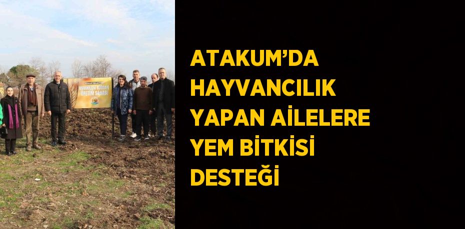 ATAKUM’DA HAYVANCILIK YAPAN AİLELERE YEM BİTKİSİ DESTEĞİ