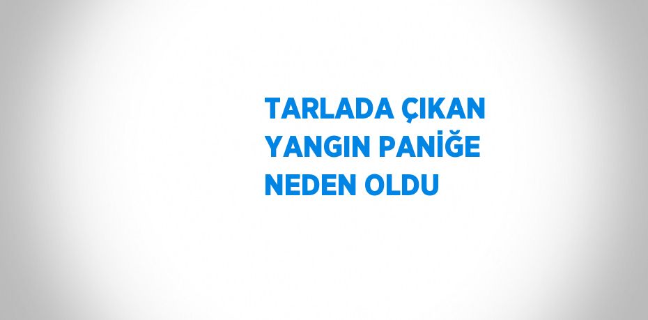 TARLADA ÇIKAN YANGIN PANİĞE NEDEN OLDU