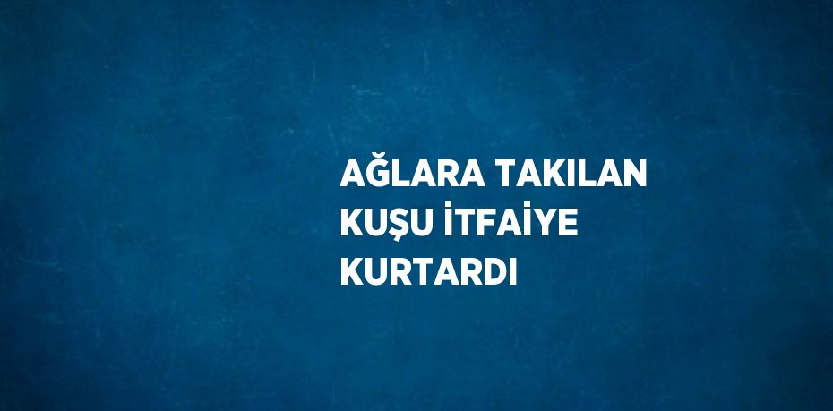 AĞLARA TAKILAN KUŞU İTFAİYE KURTARDI