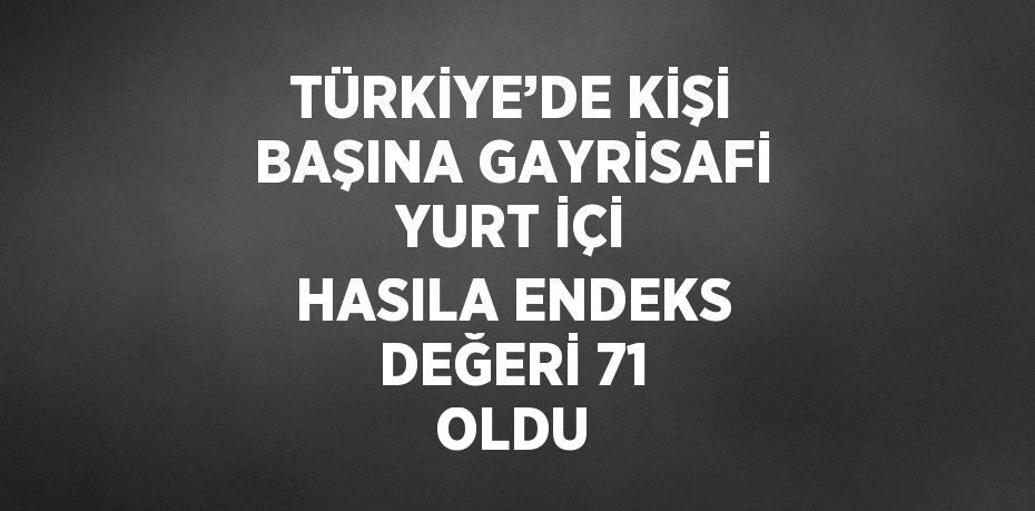 TÜRKİYE’DE KİŞİ BAŞINA GAYRİSAFİ YURT İÇİ HASILA ENDEKS DEĞERİ 71 OLDU
