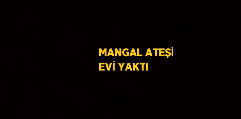 MANGAL ATEŞİ EVİ YAKTI