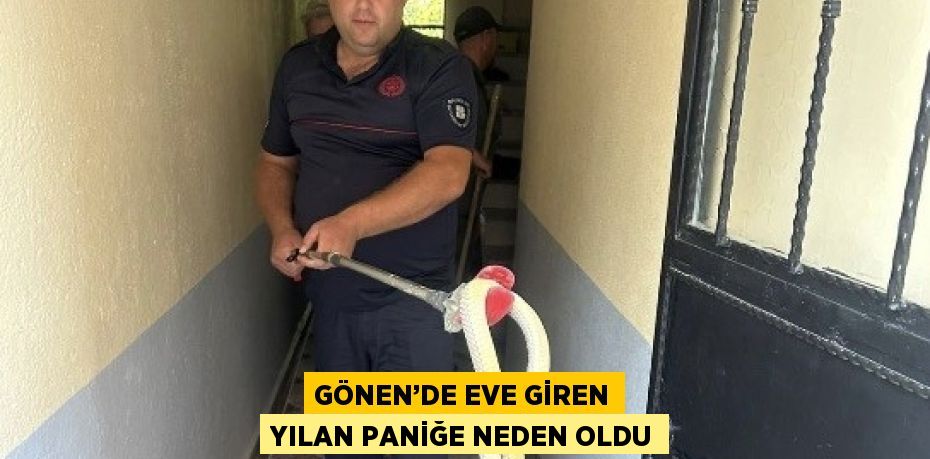 GÖNEN’DE EVE GİREN YILAN PANİĞE NEDEN OLDU