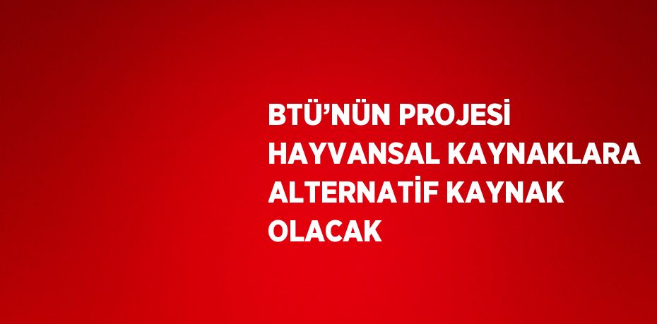 BTÜ’NÜN PROJESİ HAYVANSAL KAYNAKLARA ALTERNATİF KAYNAK OLACAK