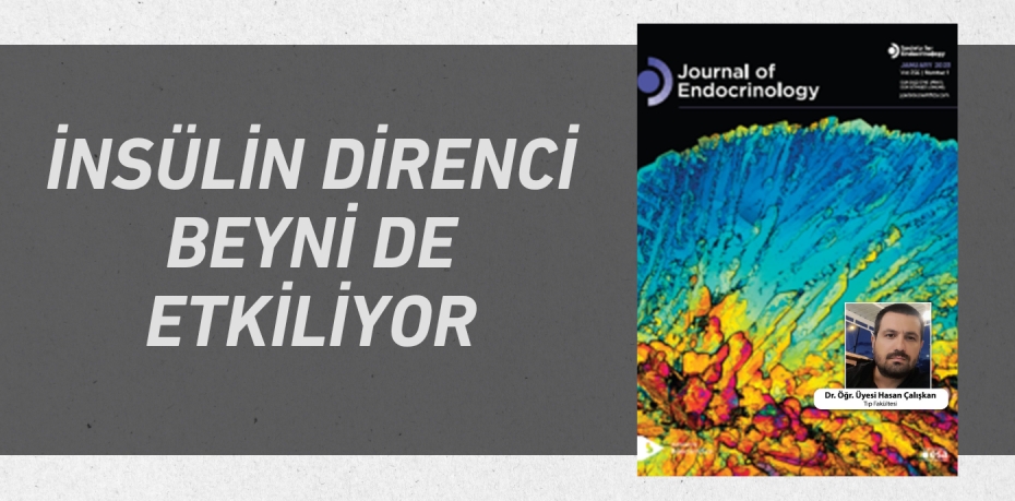 İNSÜLİN DİRENCİ BEYNİ DE ETKİLİYOR