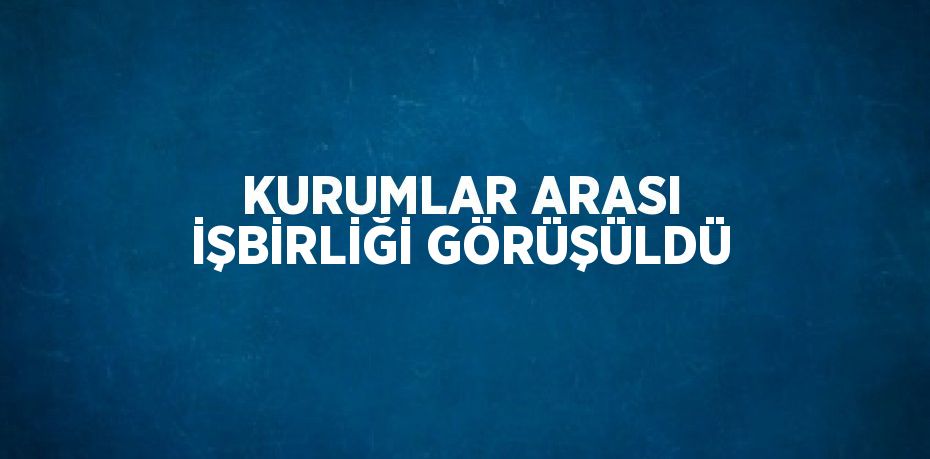 KURUMLAR ARASI İŞBİRLİĞİ GÖRÜŞÜLDÜ