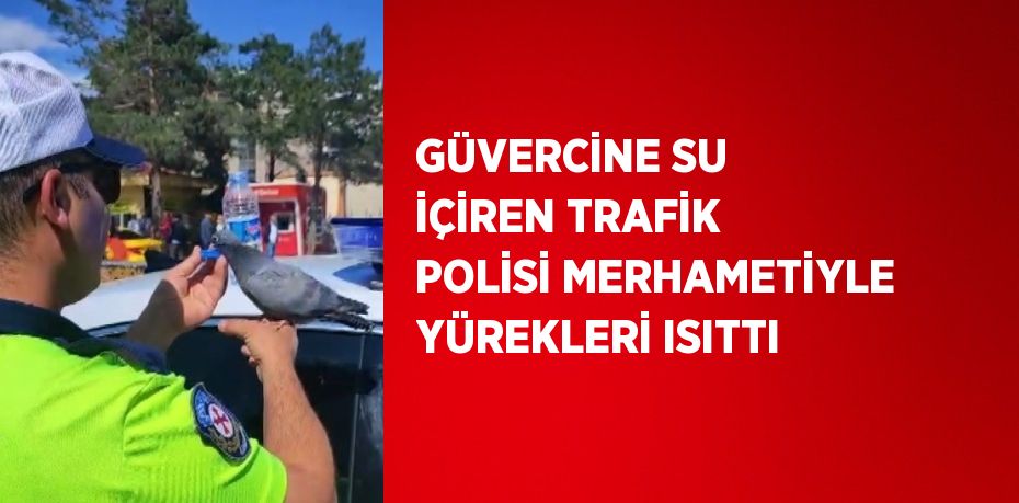 GÜVERCİNE SU İÇİREN TRAFİK POLİSİ MERHAMETİYLE YÜREKLERİ ISITTI