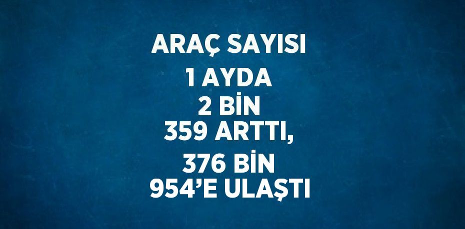 ARAÇ SAYISI 1 AYDA 2 BİN 359 ARTTI, 376 BİN 954’E ULAŞTI